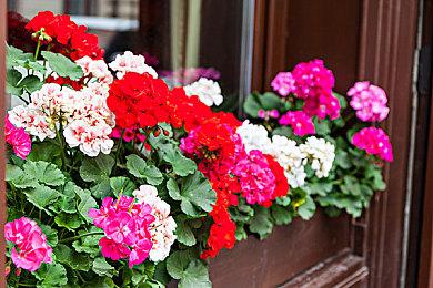 Switch的N64游戏受到批评后 任天堂可能正在改进其性能表现